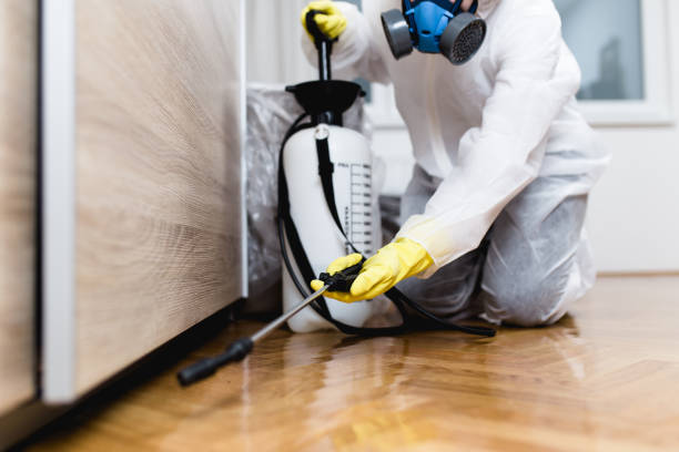 Best Pest Prevention Services  in Canastota, NY