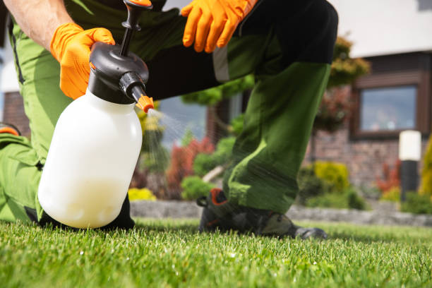 Best Emergency Pest Control  in Canastota, NY