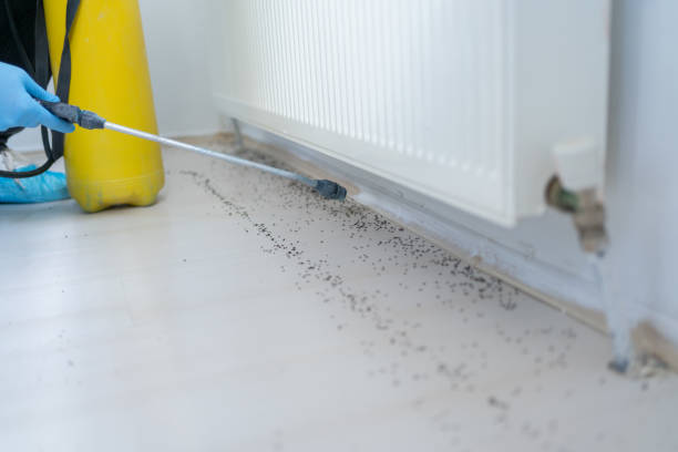  Canastota, NY Pest Control Pros