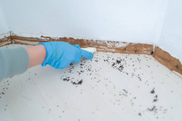 Best Pest Removal Services  in Canastota, NY
