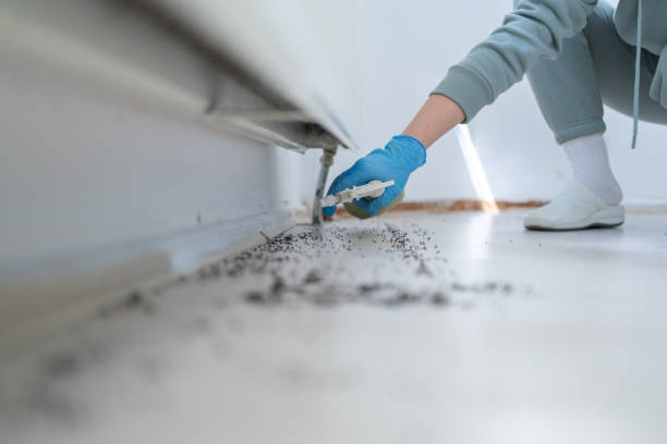 Best Cockroach Control Services  in Canastota, NY